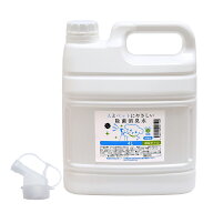 次亜塩素酸　人とペットにやさしい除菌消臭水　4L　減容ボトル　弱酸性　業務用