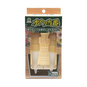 蓖ԁ@MTCYi2gj@x[W@@@@֓