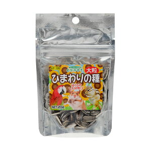 ybgt[h@Rh錾@Ђ܂̎@嗱@20g@@nX^[@@֓