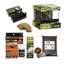 楽天市場】飼育セット（爬虫類・両生類｜ペット・ペットグッズ）の通販