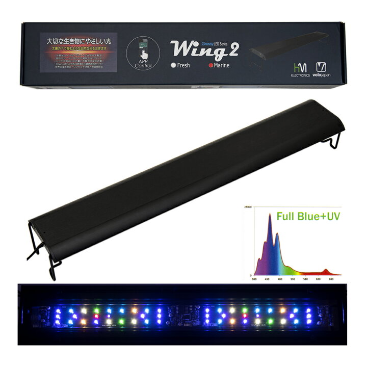 楽天市場】ボルクスジャパン Grassy Wing2 60  