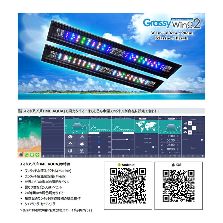 楽天市場】ボルクスジャパン Grassy Wing2 60  