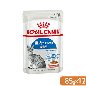 ロイヤルカナン　猫　FHN－WET　室内で生活する成猫用　インドア　グレービー　85g×1ボール（12袋）　室内猫　ウェット【HLS_DU】　関東当日便