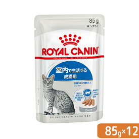 ロイヤルカナン　猫　FHN－WET　室内で生活する成猫用　インドア　ローフ　85g×1ボール（12袋）　室内猫　ウェット　お一人様5点限り【HLS_DU】　関東当日便