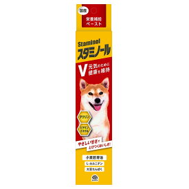 犬　サプリ　スタミノールV　100g【HLS_DU】　関東当日便