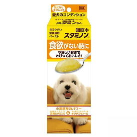 犬　サプリ　チョイスプラス　スタミノン食欲がないときに　40g×2個【HLS_DU】　関東当日便
