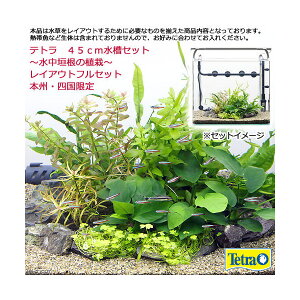 熱帯魚 45cm 水槽セットの人気商品 通販 価格比較 価格 Com 熱帯魚 45cm 水槽セットの人気商品 通販 価格比較 価格 Com