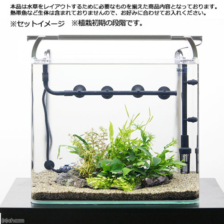 楽天市場 水草 テトラ 45cm水槽セット 水中垣根の植栽 レイアウトフルセット 水上葉 本州四国限定 Charm 楽天市場店 楽天市場 水草 テトラ 45cm水槽セット 水中垣根の植栽 レイアウトフルセット 水上葉 本州四国限定 Charm 楽天市場店