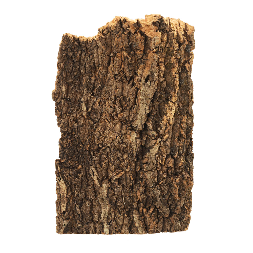形状お任せ 中古 板状コルク樹皮 ２００ｇ １枚 ガーデニング 関東当日便 低廉 ビバリウム
