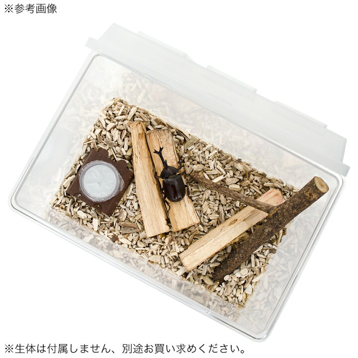 楽天市場 カブトムシ クワガタ 成虫管理セット 中 説明書付 昆虫 カブト 飼育セット 関東当日便 Charm 楽天市場店 楽天市場 カブトムシ クワガタ 成虫管理セット 中 説明書付 昆虫 カブト 飼育セット 関東当日便 Charm 楽天市場店