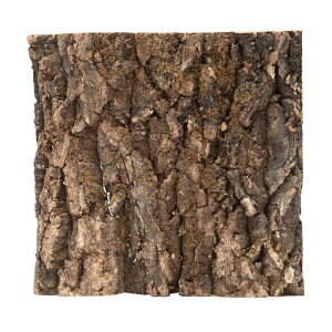 �o�b�N�p�l���p�@�R���N����@1���@�i273×290mm�j�@�G�L�]�e���@�O���X�e�����E���@3030�p�@�r�o���E���@�֓�������