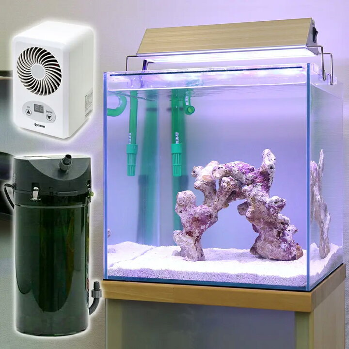 楽天市場 海水魚 海水魚飼育セット チャームオリジナル アクロ３００セット ｔｅｇａｒｕあり 本州四国限定 Charm 楽天市場店