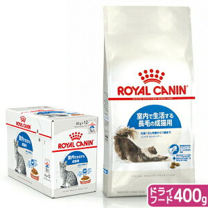 CJi@L@Ő钷т̐LpZbg@Ƃ`O[r[@pE`12܁{hCt[h@400g@Wbv@֓