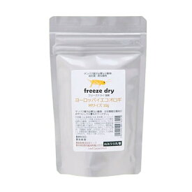 フリーズドライ　ヨーロッパイエコオロギ　Mサイズ　10g　タンパク質が必要な小動物・爬虫類用　無添加　無着色　関東当日便