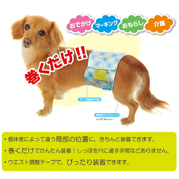 楽天市場 犬用 おむつ 男の子のためのマナーおむつ おしっこ用 ビッグパック 小型犬用 ４２枚入 犬 おむつ おもらし ペット 関東当日便 Charm 楽天市場店