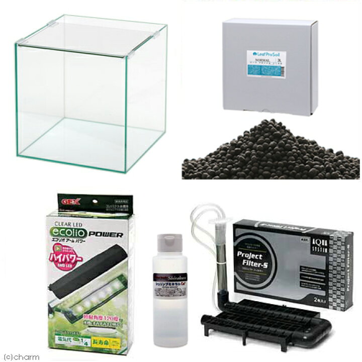 楽天市場 小型エビ 飼育スタート水槽セット ３０ ３０ ３０ｃｍ ビーシュリンプ 飼育セット お一人様５点限り 沖縄別途送料 関東当日便 Charm 楽天市場店