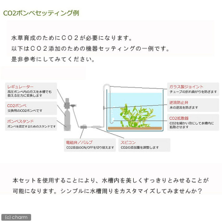 楽天市場 ｃｏ２拡散器セット ミニｃｏ２ストーン クリスタルジョイント ｊｌ型２７０ｍｍ 他 関東当日便 Charm 楽天市場店