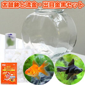 楽天市場 金魚鉢 おしゃれの通販 楽天市場 金魚鉢 おしゃれの通販
