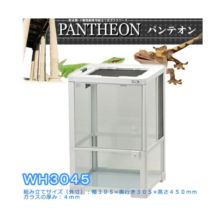 楽天市場】爬虫類ケージ 三晃商会 パンテオン ホワイト WH3045 