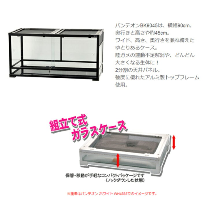 楽天市場】爬虫類ケージ 三晃商会 パンテオン ブラック BK9045 