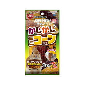 マルカン　かじかじ　ミニコーン　2本＋おまけミニミニ1本　小動物　おやつ　天然素材【HLS_DU】　関東当日便