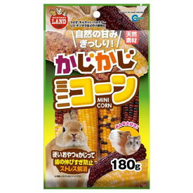 マルカン　かじかじ　ミニコーン　180g　小動物　おやつ　穀物【HLS_DU】　関東当日便