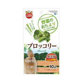 マルカン　野菜のおたより　ブロッコリー　10g　小動物　おやつ【HLS_DU】　関東当日便