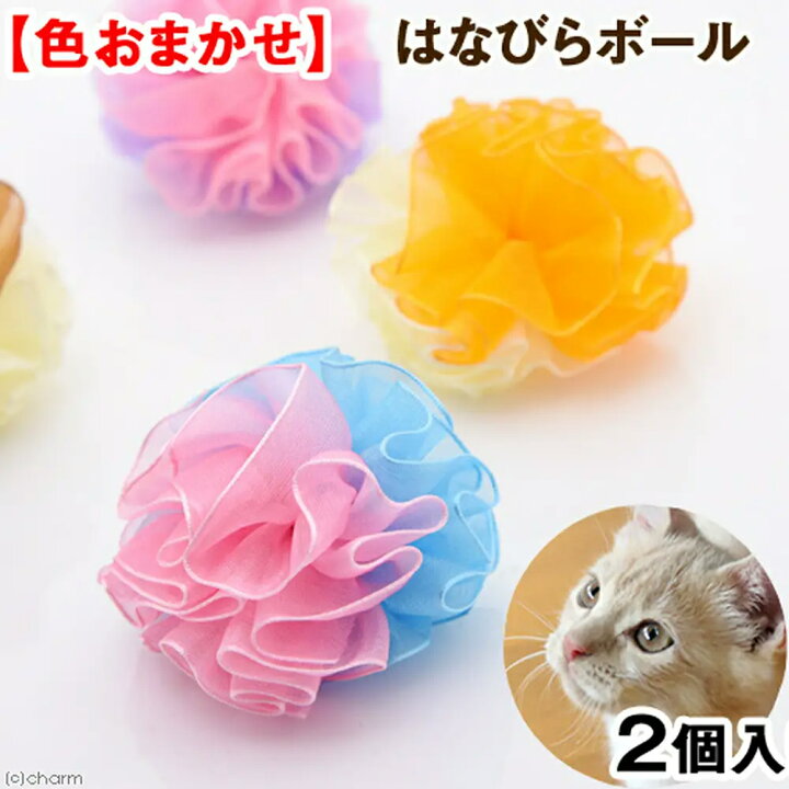 楽天市場】猫じゃらし キャティーマン じゃれ猫 NekoToyBox 
