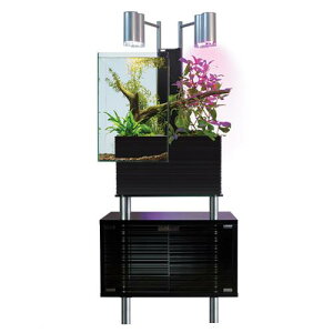 񂹏i@ANA|jNX@brio35@ubN@60Hz@{p@CeAiLrlbgȂj@180TCY