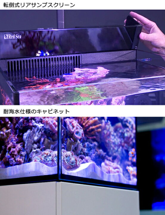 楽天市場】レッドシー MAX NANO G2 CUBE セット ブラック 