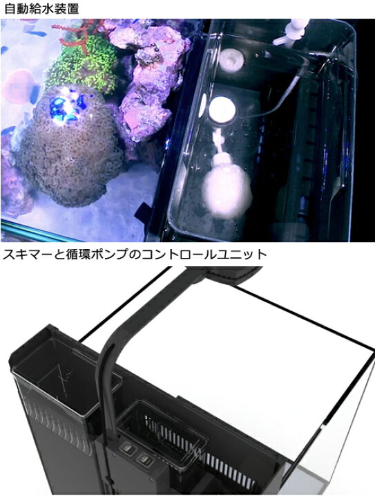 楽天市場】レッドシー MAX NANO G2 CUBE セット ホワイト 