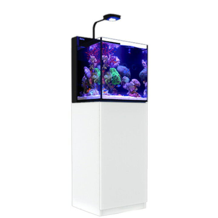 楽天市場】レッドシー MAX NANO G2 CUBE セット ホワイト 