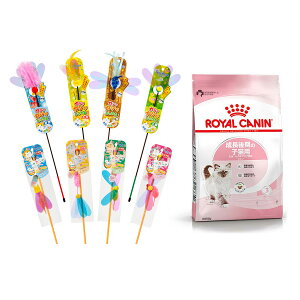 L炵@`Vт̎qLց`8e1{{CJi@Lg@400g@ll5_@֓