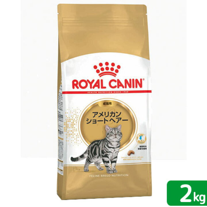 楽天市場 ロイヤルカナン 猫 アメリカンショートヘアー 成猫用 生後12ヵ月齢から12歳まで 2kg ジップ付 キャットフード ドライ 関東当日便 Charm 楽天市場店 楽天市場 ロイヤルカナン 猫 アメリカンショートヘアー 成猫用 生後12ヵ月齢から12歳まで 2kg ジップ付 キャットフード ドライ 関東当日便 Charm 楽天市場店