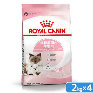 CJi@qL@}U[xr[Lbg@O̎qLp@2kg×4܁@3182550707312@ll1_@Wbvt@֓