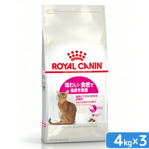 CJi@L@ZCo[GNVWFg@Lp@4kg×3܁@3182550717144@ll1_@Wbvt@֓