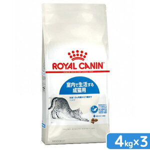 CJi@L@ChA@Ő鐬Lp@127΂܂Ł@4kg×3܁@WbvtiLbgt[h@hCj@֓