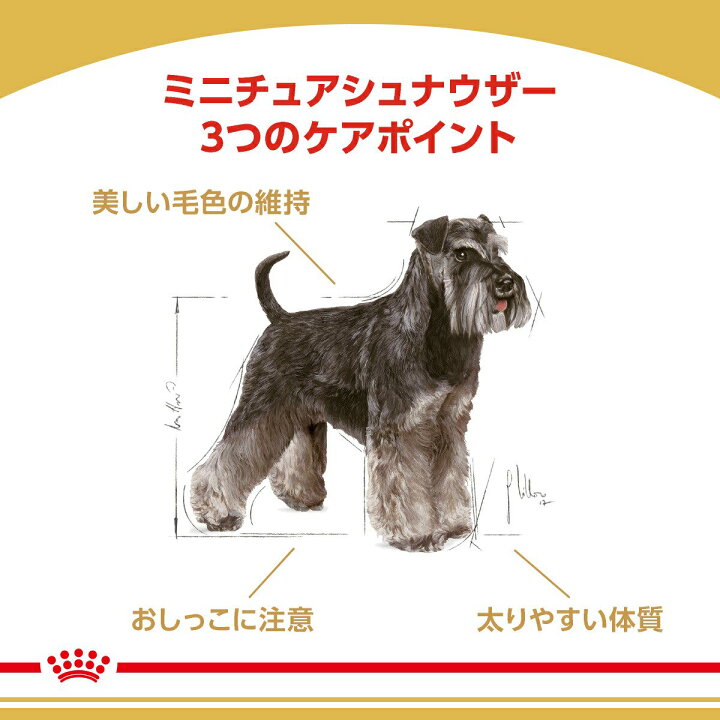 楽天市場】ロイヤルカナン ミニチュアシュナウザー 成犬・高齢犬用 3kg×3袋 沖縄別途送料 ジップ付 お一人様1点限り 関東当日便 : charm 楽天市場店 楽天市場】ロイヤルカナン ミニチュアシュナウザー 成犬・高齢犬用 3kg×3袋 沖縄別途送料 ジップ付 お一人様1点限り 関東当日便 : charm 楽天市場店