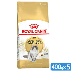 ロイヤルカナン　猫　ノルウェージャン　フォレスト　キャット　成猫用　生後12ヵ月齢から12歳まで　400g×5袋　ジップ無し（キャットフード　ドライ）　関東当日便