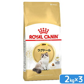 ロイヤルカナン　猫　ラグドール　成猫用　生後12ヵ月齢から12歳まで　2kg×3袋　ジップ付（キャットフード　ドライ）