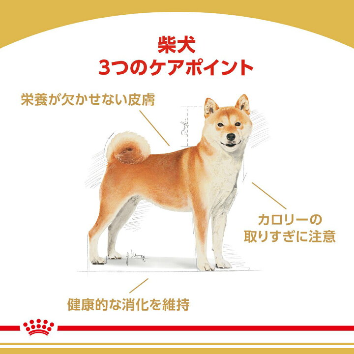 楽天市場】ロイヤルカナン 柴犬 8歳からのフード切り替えセット 成犬 