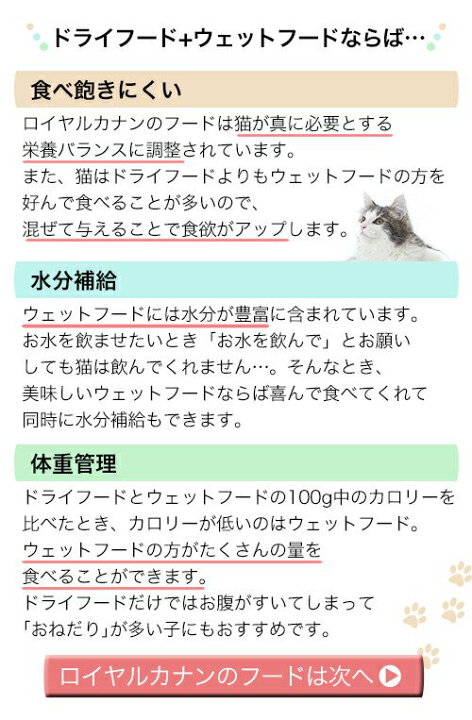 購買 お一人様５点限り 猫 ドライ４００ｇ パウチ８５ｇ ４袋 ロイヤル