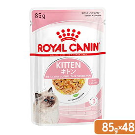 ロイヤルカナン　子猫　キトン　ゼリー　成長後期の子猫用　85g　1箱48袋　9003579311714　お一人様1点限り　関東当日便