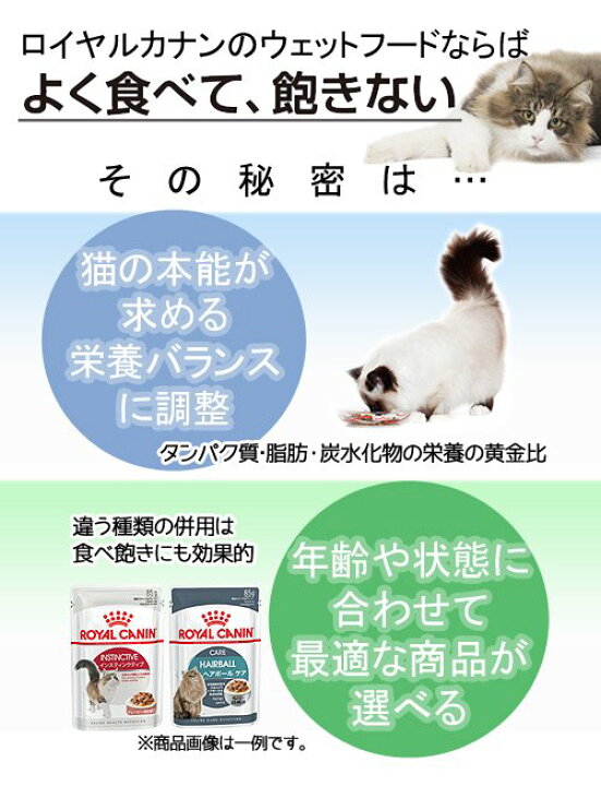 楽天市場】ロイヤルカナン 猫 インスティンクティブ ゼリー 成猫用 85g 1ボール12袋 9003579309513 お一人様5点限り 関東当日便 : charm 楽天市場店 楽天市場】ロイヤルカナン 猫 インスティンクティブ ゼリー 成猫用 85g 1ボール12袋 9003579309513 お一人様5点限り 関東当日便 : charm 楽天市場店