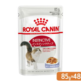 ロイヤルカナン　猫　インスティンクティブ　ゼリー　成猫用　85g　48袋　9003579309513　お一人様1点限り　関東当日便