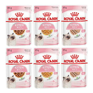 CJi@qL@̎qLp@Hה׃Zbg@3e2܁@v6܁@ll5_@֓