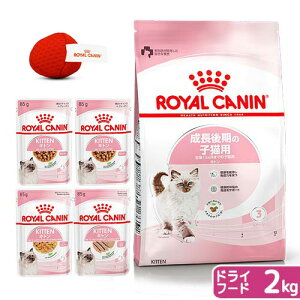 yzCJi@qL@̎qLphCEFbgZbg@hCt[h@2kg@Wbvt{pE`85g×Hה4܁@{@Ⴈ܂@֓