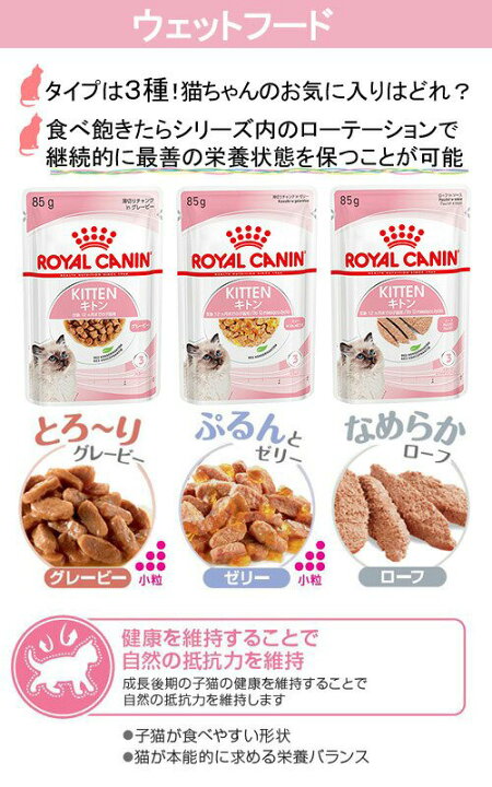 楽天市場】【送料無料】ロイヤルカナン 子猫 成長後期の子猫用ドライ 