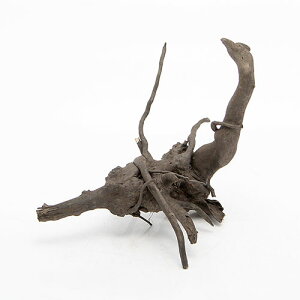 `󂨔C@ύݍς݁@[cEbh@MTCYi25`35cmj@1{@CAEgfށ@؁@֓