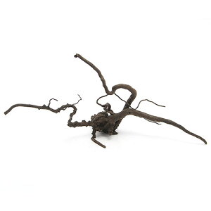 `󂨔C@ύݍς݁@[cEbh@LTCYi35`45cmj@1{@CAEgfށ@؁@֓